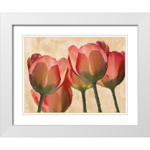 Battles Of Romance White Modern Wood Framed Art Print with Double Matting by Prime, Marcus