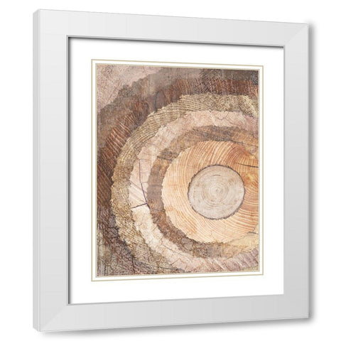 Natural Rings Of Life White Modern Wood Framed Art Print with Double Matting by Prime, Marcus