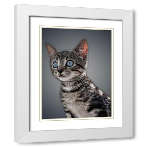 Boundless Cuteness 1 White Modern Wood Framed Art Print with Double Matting by Prime, Marcus