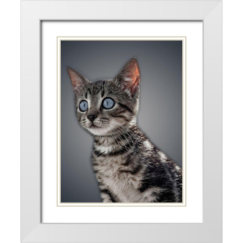 Boundless Cuteness 1 White Modern Wood Framed Art Print with Double Matting by Prime, Marcus