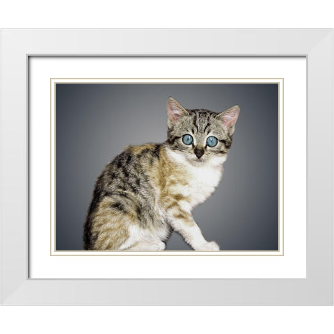 Boundless Cuteness 2 White Modern Wood Framed Art Print with Double Matting by Prime, Marcus