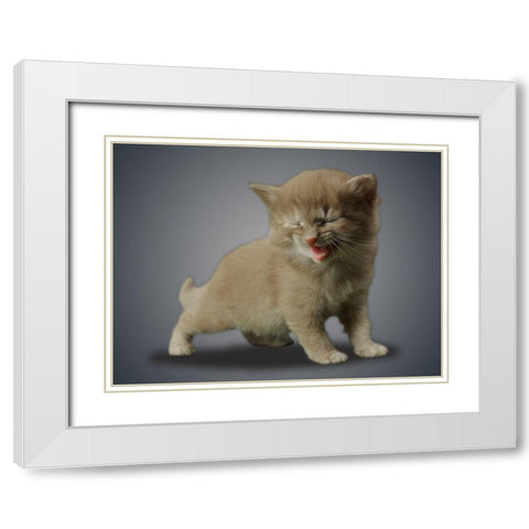 Boundless Cuteness 3 White Modern Wood Framed Art Print with Double Matting by Prime, Marcus