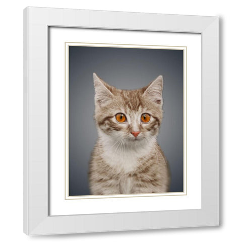 Boundless Cuteness 5 White Modern Wood Framed Art Print with Double Matting by Prime, Marcus