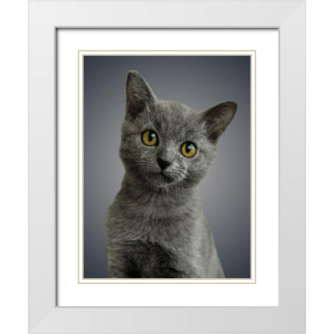 Boundless Cuteness 6 White Modern Wood Framed Art Print with Double Matting by Prime, Marcus