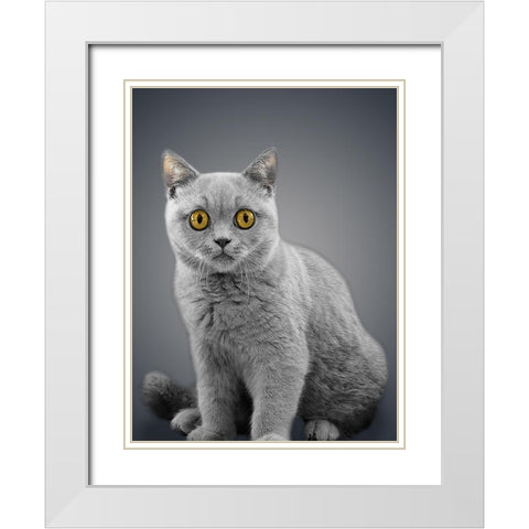 Boundless Cuteness 7 White Modern Wood Framed Art Print with Double Matting by Prime, Marcus