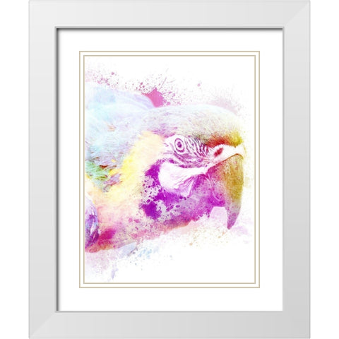 Marvelous Macaw 1 White Modern Wood Framed Art Print with Double Matting by Prime, Marcus