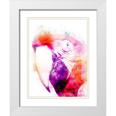 Marvelous Macaw 2 White Modern Wood Framed Art Print with Double Matting by Prime, Marcus