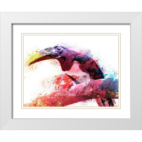Marvelous Tucan White Modern Wood Framed Art Print with Double Matting by Prime, Marcus