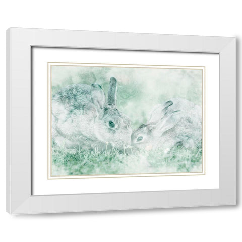 Marble And Bunnies White Modern Wood Framed Art Print with Double Matting by Prime, Marcus