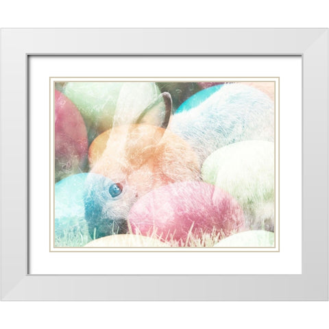 Hidden Gems White Modern Wood Framed Art Print with Double Matting by Prime, Marcus