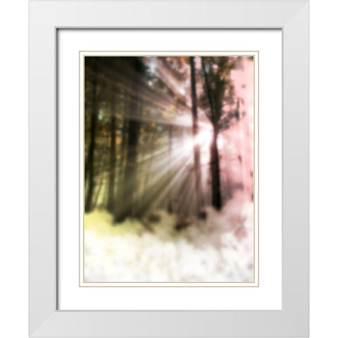 Sunset Haze White Modern Wood Framed Art Print with Double Matting by Prime, Marcus