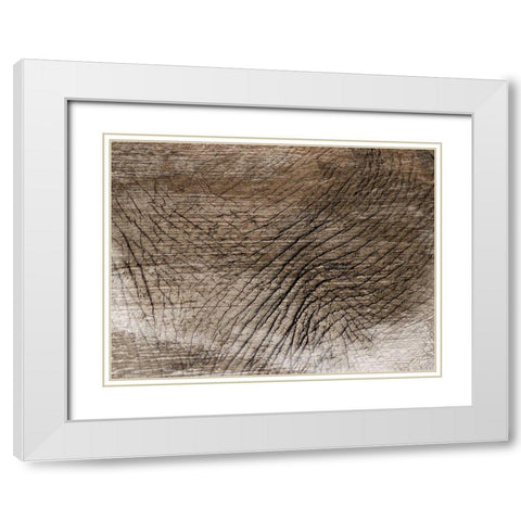 Mastadon Tapestry 1 White Modern Wood Framed Art Print with Double Matting by Prime, Marcus