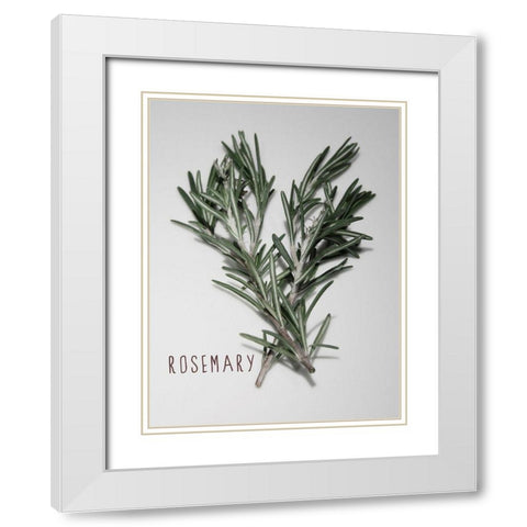 Time-Honored Rosemary 1 White Modern Wood Framed Art Print with Double Matting by Prime, Marcus