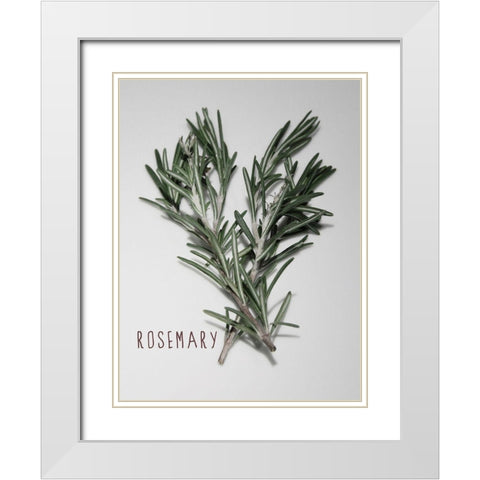 Time-Honored Rosemary 1 White Modern Wood Framed Art Print with Double Matting by Prime, Marcus