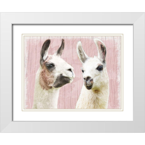 Llama Love White Modern Wood Framed Art Print with Double Matting by Prime, Marcus