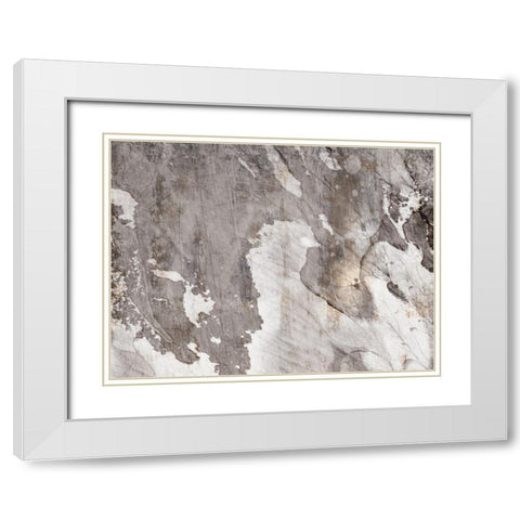 Desert Tapestry 1 White Modern Wood Framed Art Print with Double Matting by Prime, Marcus
