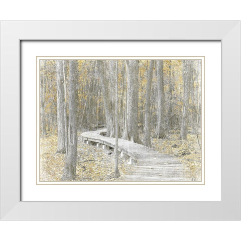 Autumn Stroll White Modern Wood Framed Art Print with Double Matting by Prime, Marcus