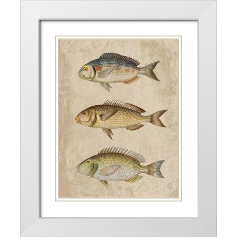 Fish Friends 2 White Modern Wood Framed Art Print with Double Matting by Prime, Marcus