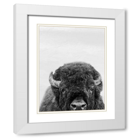 M Bison White Modern Wood Framed Art Print with Double Matting by Prime, Marcus