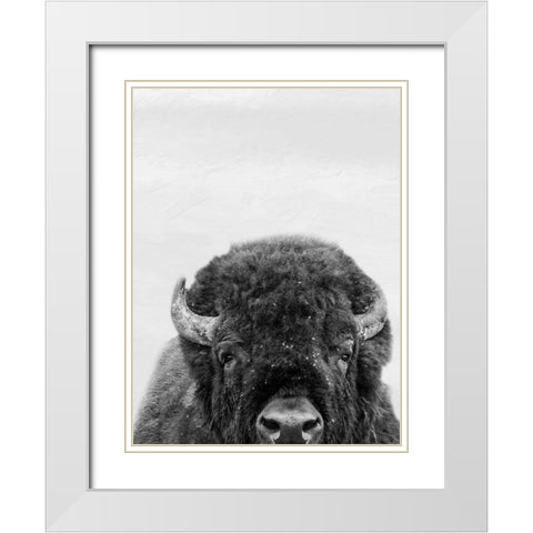 M Bison White Modern Wood Framed Art Print with Double Matting by Prime, Marcus