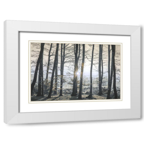Peaceful Shine White Modern Wood Framed Art Print with Double Matting by Prime, Marcus