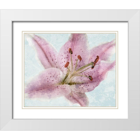 Lily Love 2 White Modern Wood Framed Art Print with Double Matting by Prime, Marcus