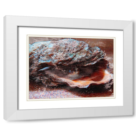 Shiny Oyster 2 White Modern Wood Framed Art Print with Double Matting by Prime, Marcus