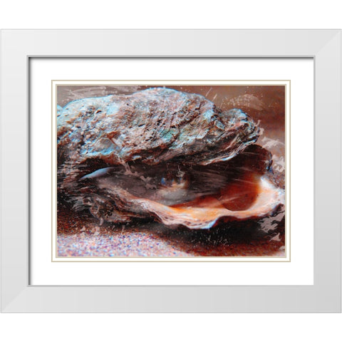 Shiny Oyster 2 White Modern Wood Framed Art Print with Double Matting by Prime, Marcus