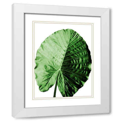 Vacation Desires 4 White Modern Wood Framed Art Print with Double Matting by Prime, Marcus