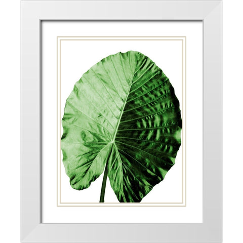 Vacation Desires 4 White Modern Wood Framed Art Print with Double Matting by Prime, Marcus