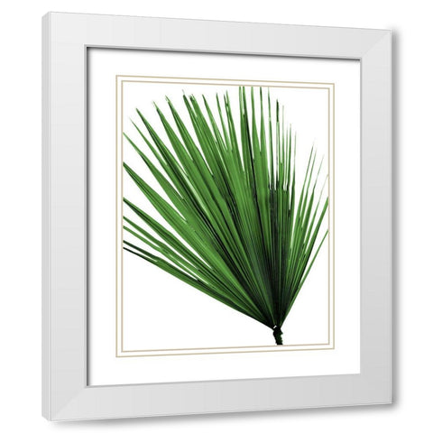 Vacation Desires 5 White Modern Wood Framed Art Print with Double Matting by Prime, Marcus