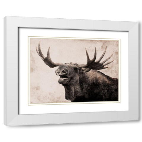 Moose Call White Modern Wood Framed Art Print with Double Matting by Prime, Marcus