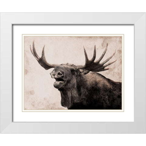 Moose Call White Modern Wood Framed Art Print with Double Matting by Prime, Marcus
