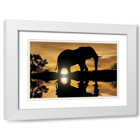 Calming Walk 1 White Modern Wood Framed Art Print with Double Matting by Prime, Marcus