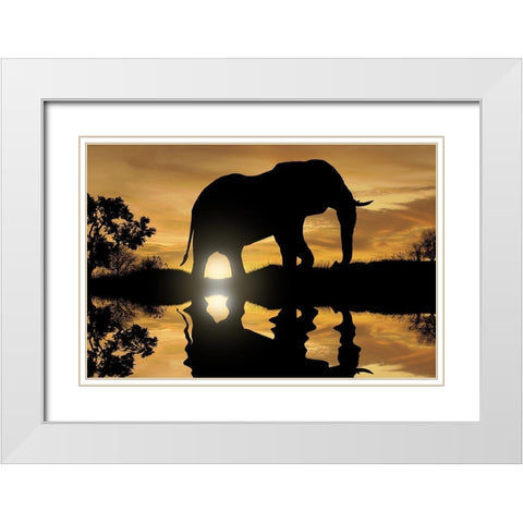 Calming Walk 1 White Modern Wood Framed Art Print with Double Matting by Prime, Marcus