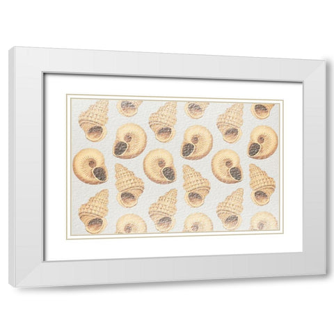 Flowing Shells 2 White Modern Wood Framed Art Print with Double Matting by Prime, Marcus