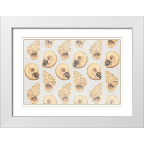 Flowing Shells 2 White Modern Wood Framed Art Print with Double Matting by Prime, Marcus