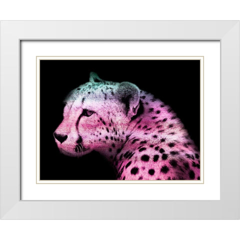 Fun Cheetah 1 White Modern Wood Framed Art Print with Double Matting by Prime, Marcus