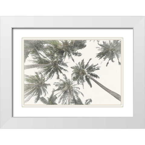 Organic Rises 1 White Modern Wood Framed Art Print with Double Matting by Prime, Marcus