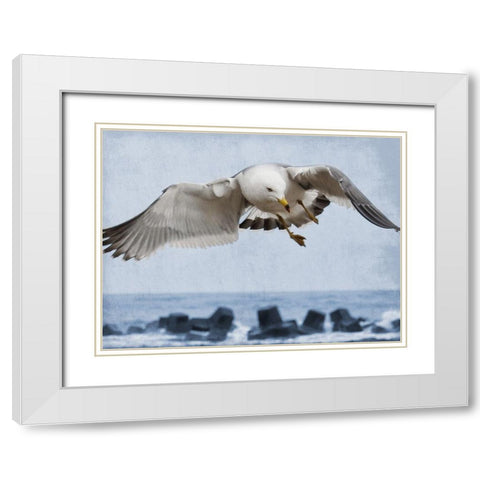 Fly Free 1 White Modern Wood Framed Art Print with Double Matting by Prime, Marcus