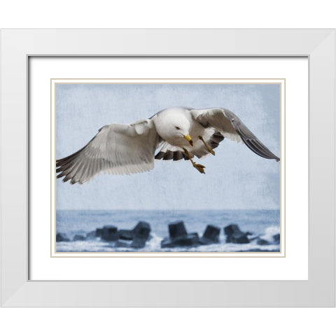 Fly Free 1 White Modern Wood Framed Art Print with Double Matting by Prime, Marcus