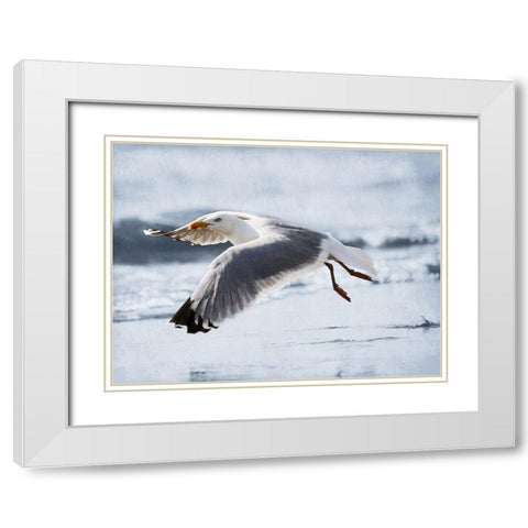 Fly Free 2 White Modern Wood Framed Art Print with Double Matting by Prime, Marcus