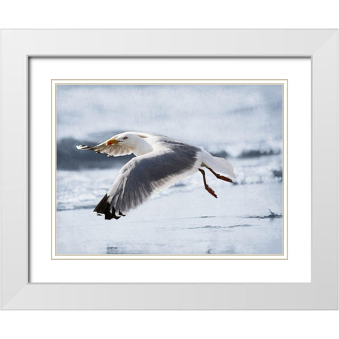 Fly Free 2 White Modern Wood Framed Art Print with Double Matting by Prime, Marcus
