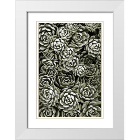 Botanical Farm 1 White Modern Wood Framed Art Print with Double Matting by Prime, Marcus