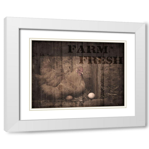Farm Fresh Chicken 1 White Modern Wood Framed Art Print with Double Matting by Prime, Marcus