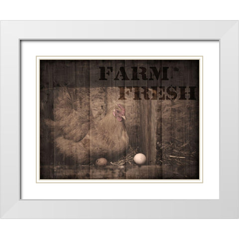 Farm Fresh Chicken 1 White Modern Wood Framed Art Print with Double Matting by Prime, Marcus
