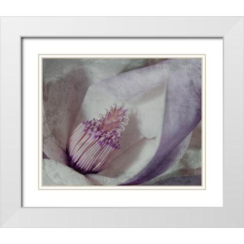 Lavender Explosion 4 White Modern Wood Framed Art Print with Double Matting by Prime, Marcus