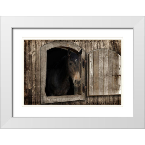 Loving Peek 1 White Modern Wood Framed Art Print with Double Matting by Prime, Marcus