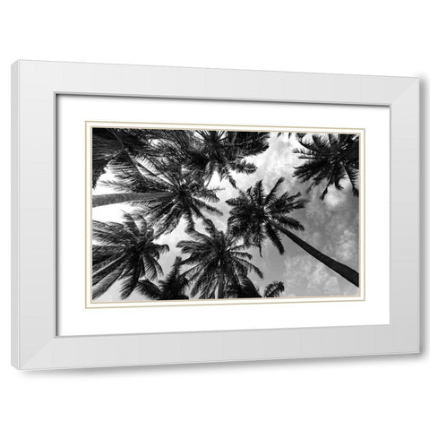 Passerby Palms 2 White Modern Wood Framed Art Print with Double Matting by Prime, Marcus