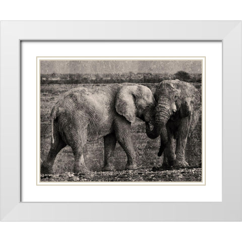 Massive Affection White Modern Wood Framed Art Print with Double Matting by Prime, Marcus